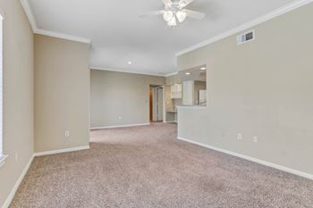 Plush carpeting
